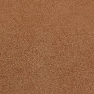 Tempesta Honey swatch