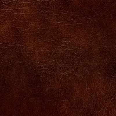 Windsor Autumn Tan swatch