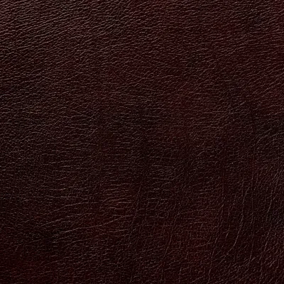 Windsor Brown swatch