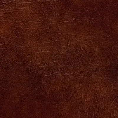 Windsor Tan swatch