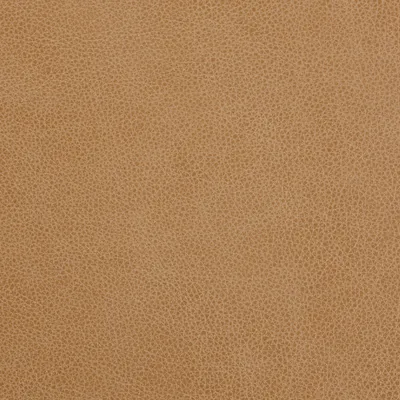 Rangers Biscotti swatch