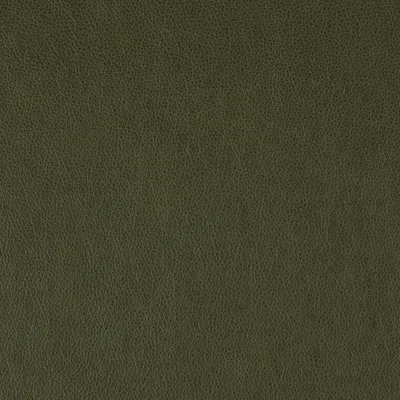 Altara Boreal Forrest swatch