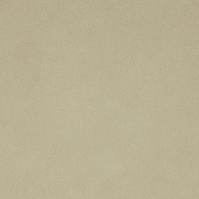 Altara Snow swatch