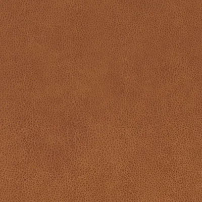 Altara Hellbraun swatch