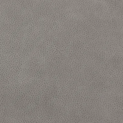 Altara Smoked Oyster swatch