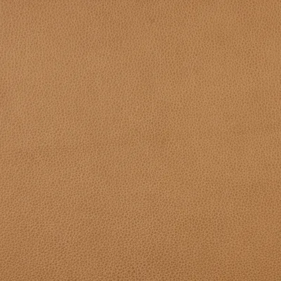 Rangers Morning Sun swatch