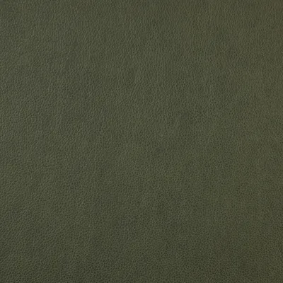 Rangers Boreal Forest swatch
