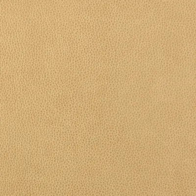 Altara Desert swatch