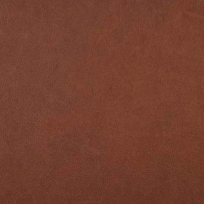 Rangers Caramel swatch