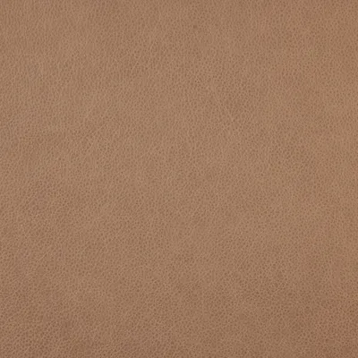 Rangers Flaxseed swatch
