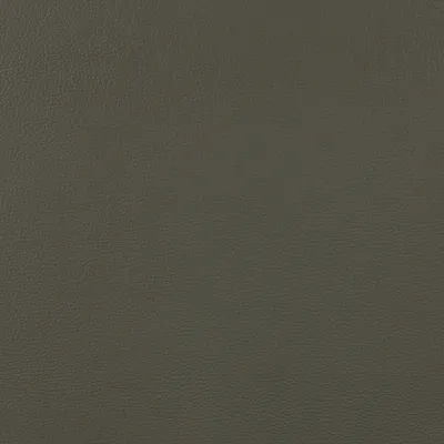 Milo Shark Skin (Copy) swatch