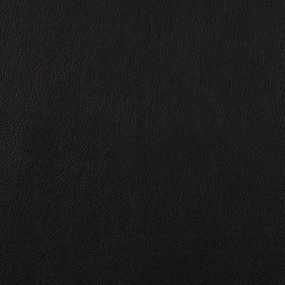 Milo Jet Black swatch