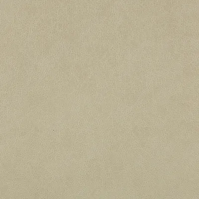 Rangers Natural swatch