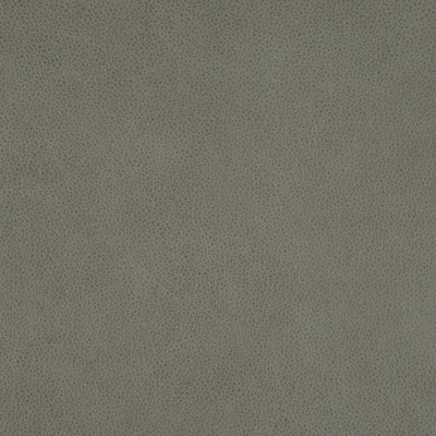 Rangers Limestone swatch