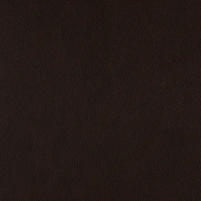 Rangers Dark Brown swatch