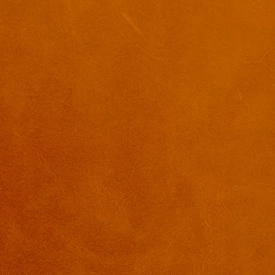 Newcastle Tan swatch