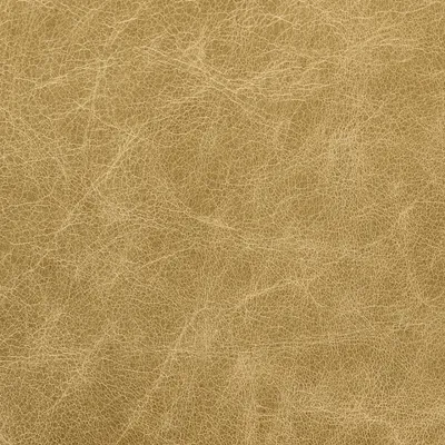 Old English Parchment swatch