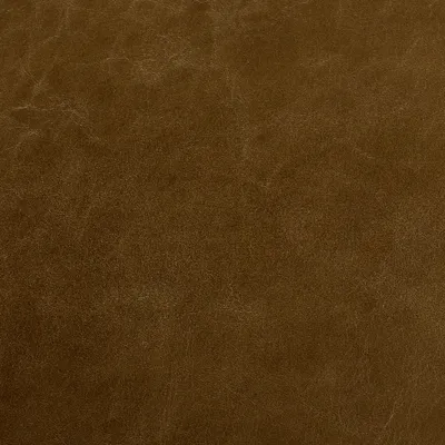 Old English Olive swatch