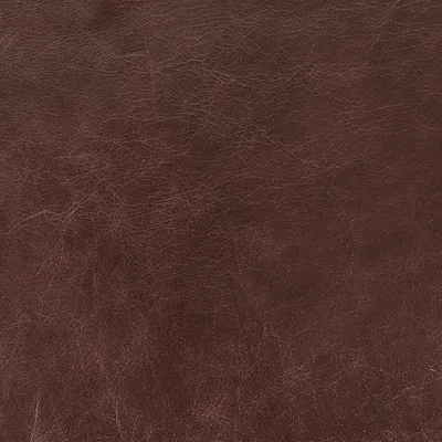Old English Chocolate swatch