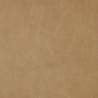 Harlow Desert Taupe swatch