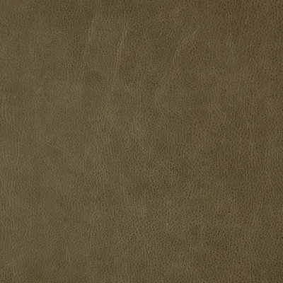 Harlow Olive swatch