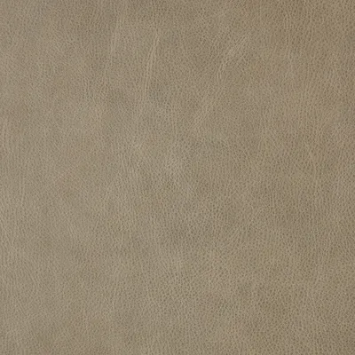 Harlow Mushroom swatch