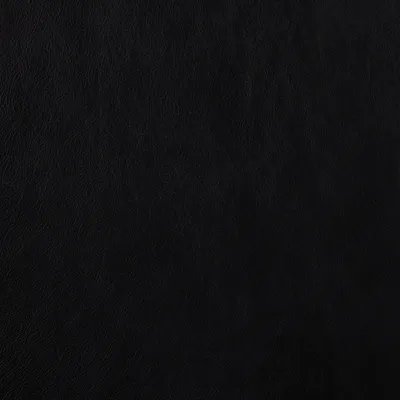 Premium Black swatch