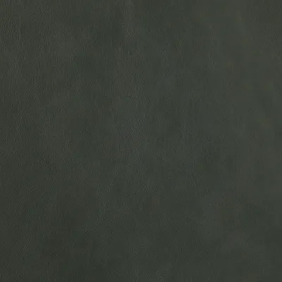 Premium Eucalyptus swatch
