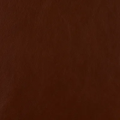 Premium Cocoa swatch