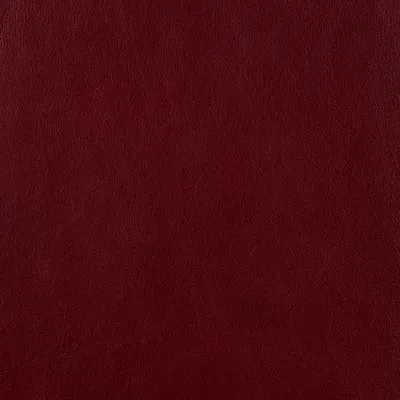 Premium Regal swatch