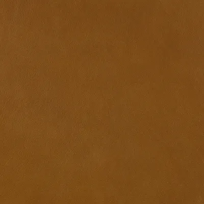 Premium Saddle swatch