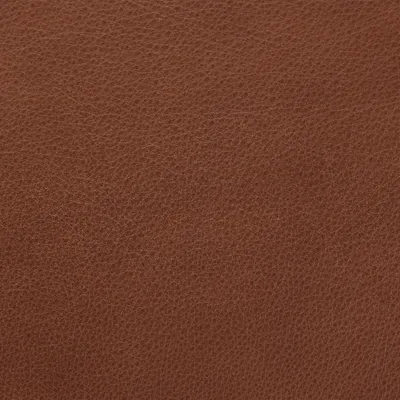 Selvaggio Beaver swatch