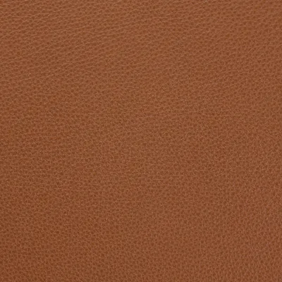 Selvaggio Cognac swatch