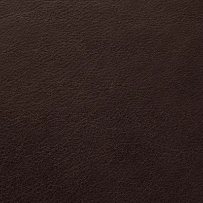 Selvaggio Peat swatch