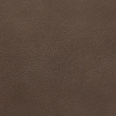 Selvaggio Slate swatch