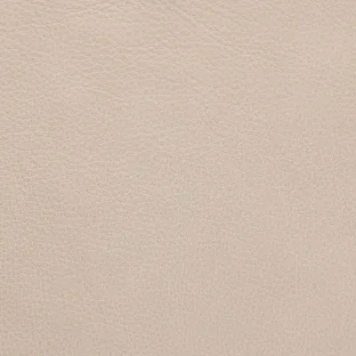 Selvaggio Sky swatch