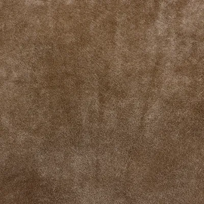 Intaba Ash swatch