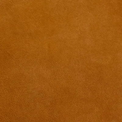 Intaba Parchment swatch