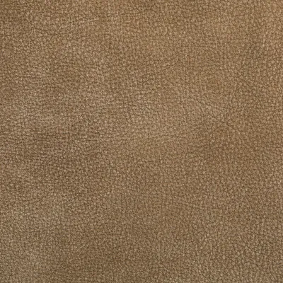 Intaba Zambezi Sand swatch
