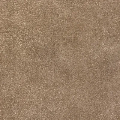Brunel Oyster swatch