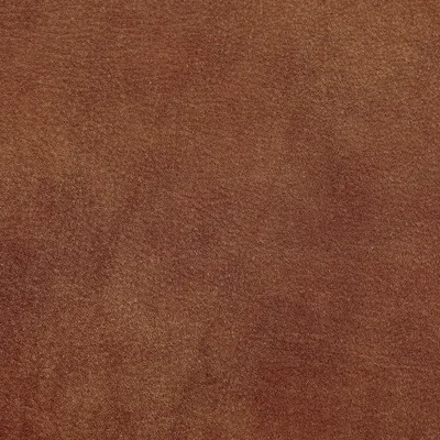Brunel Fox swatch