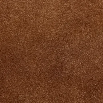 Brunel Walnut swatch