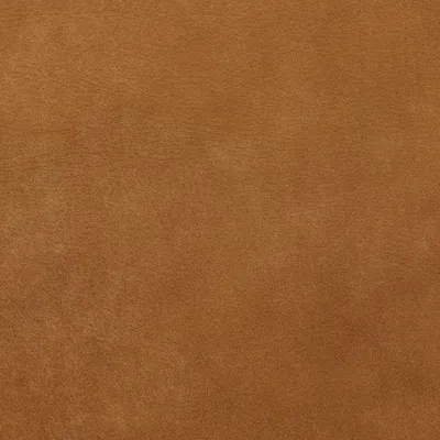 Brunel Light Tan swatch