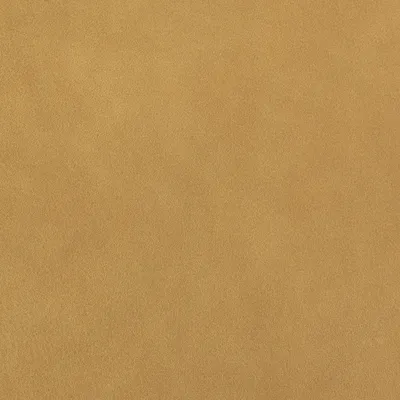Blake Butterscotch swatch