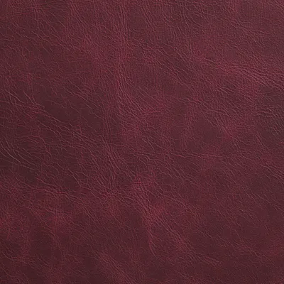 Piccadilly Ruby swatch