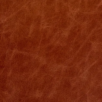 Piccadilly Brandy swatch