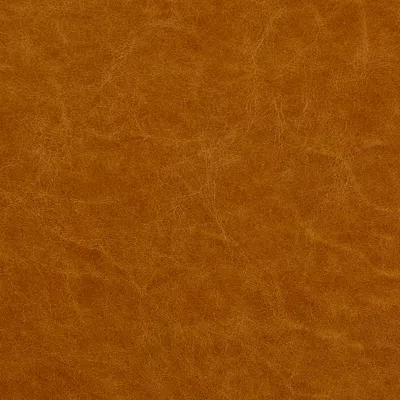 Piccadilly Cognac swatch