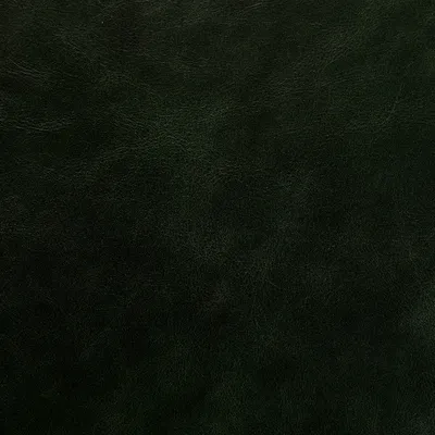 Belmont Hunter swatch