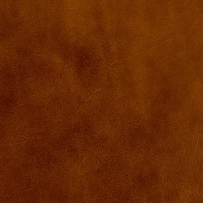Belmont Dark Amber swatch