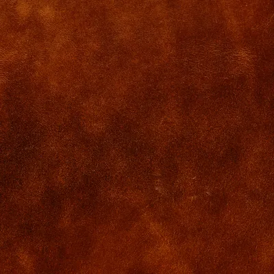 Legacy Brown swatch